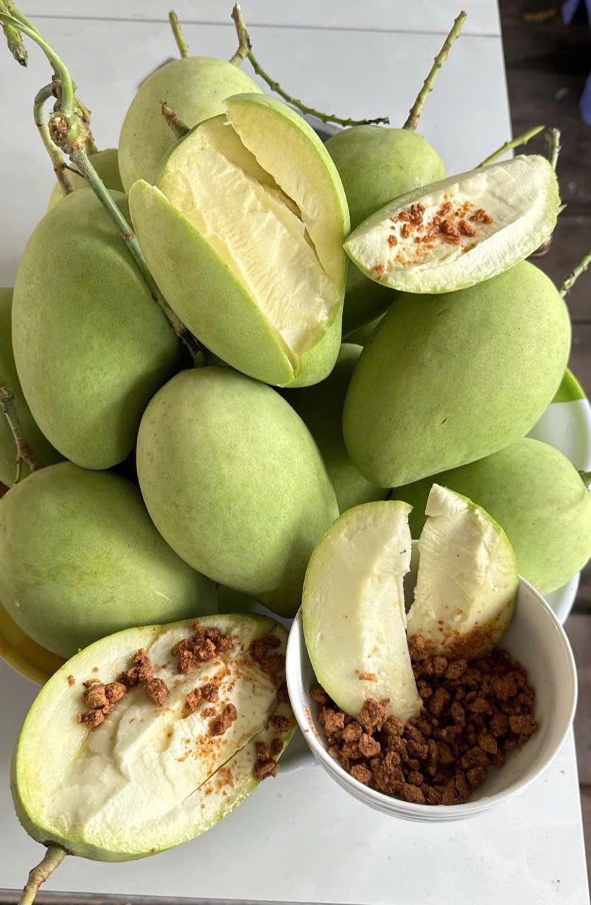 XOÀI CÁT CHU CỨNG GIÒN