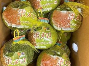 THÙNG 12KG BƯỞI THÁI | 10 - 11 quả