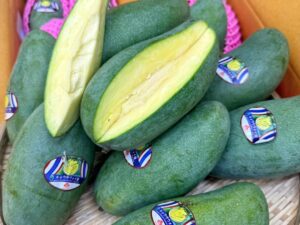 THÙNG 5KG | XOÀI THÁI GIÒN NGỌT 16 - 18 quả