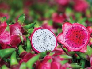 THANH LONG TƯƠI (RUỘT TRẮNG, RUỘT ĐỎ)