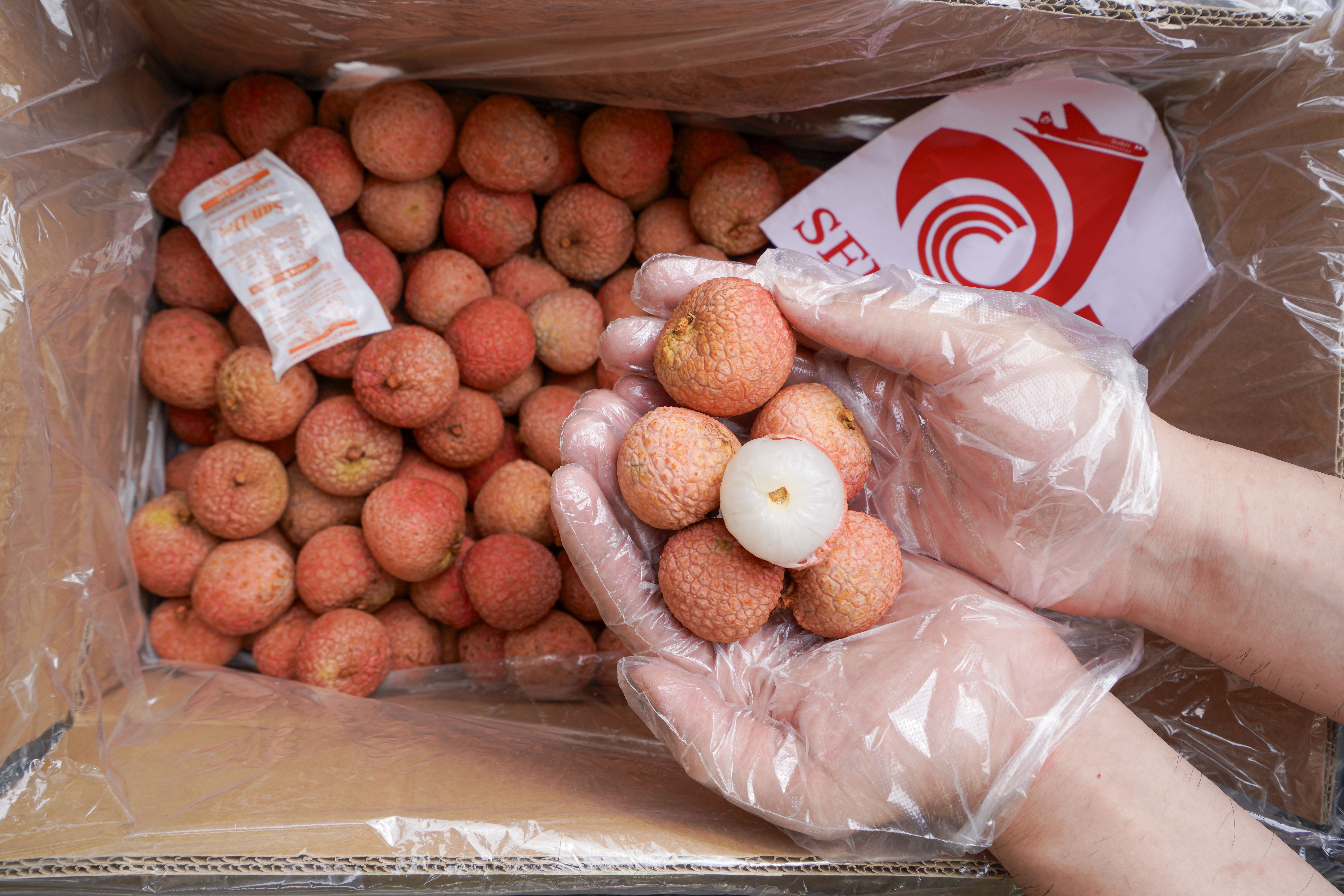 KIỆN 6 THÙNG (30KG) | VẢI TƯƠI